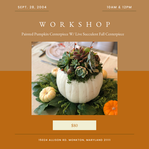 Painted Pumpkin Centerpiece W/ Live Succulent Fall Centerpiece | Sept. 28th | Session 2: 12PM-1:30 PM