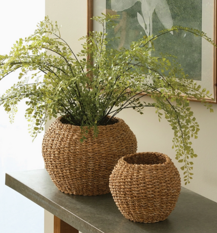 Seagrass Plant Baskets, Set of 2