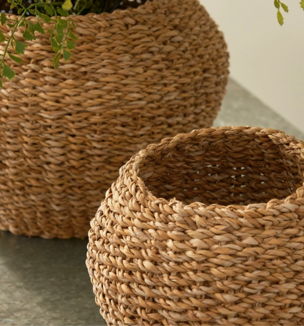 Seagrass Plant Baskets Set