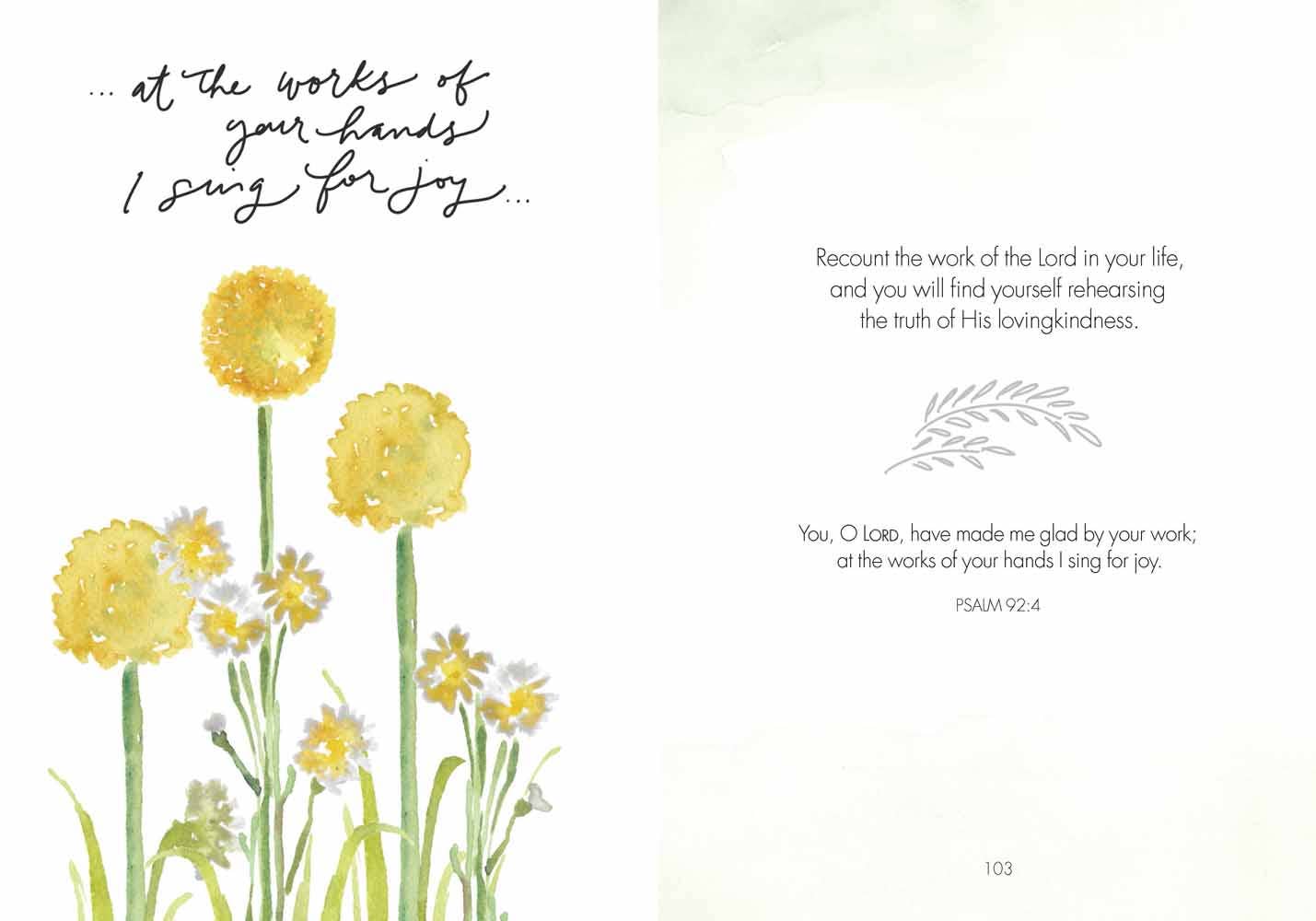 Fields of Joy