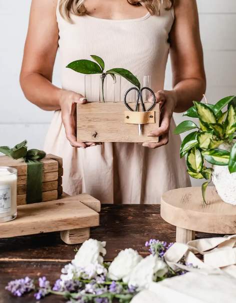 Wood Propagation Station