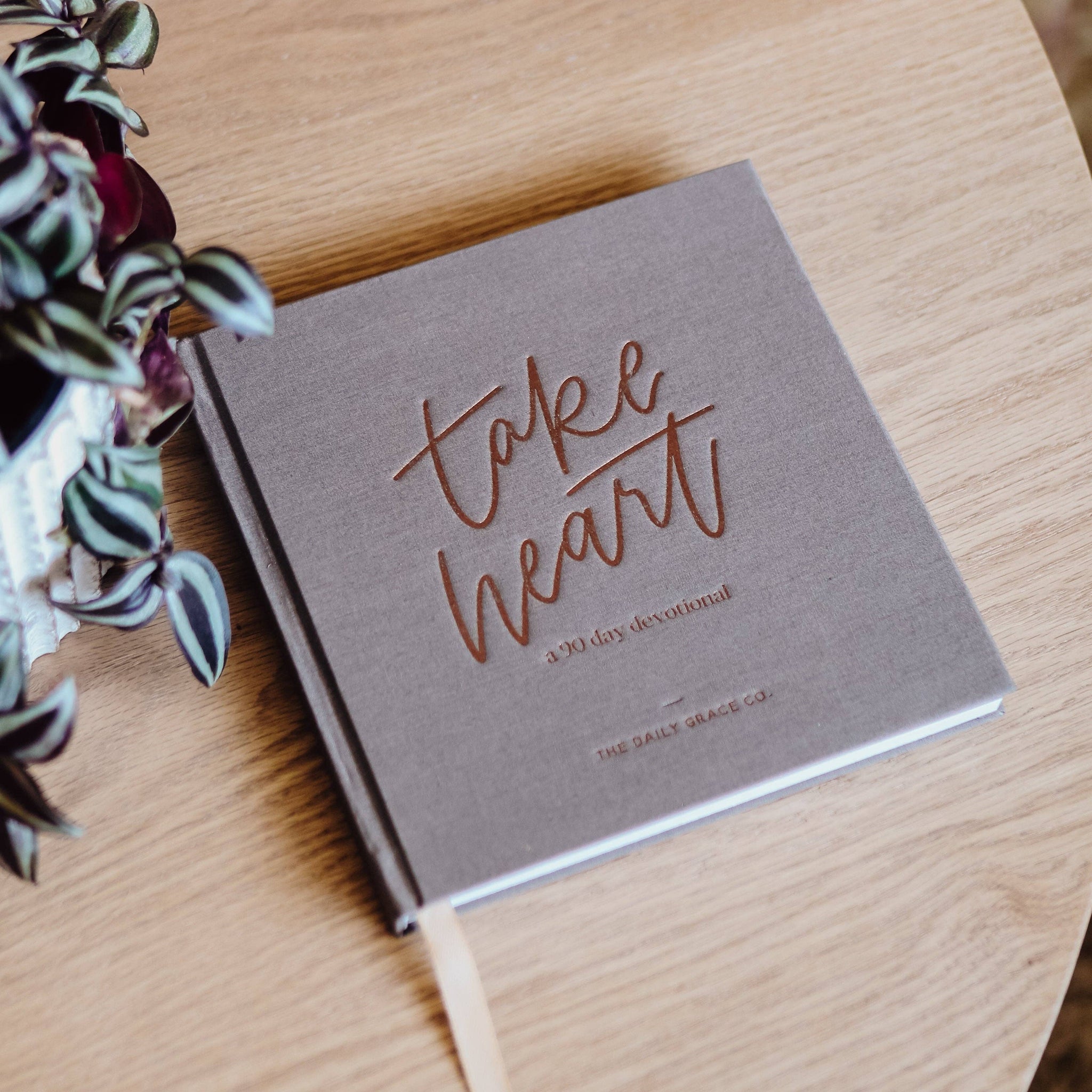 Book | Take Heart  A 90-Day Devotional