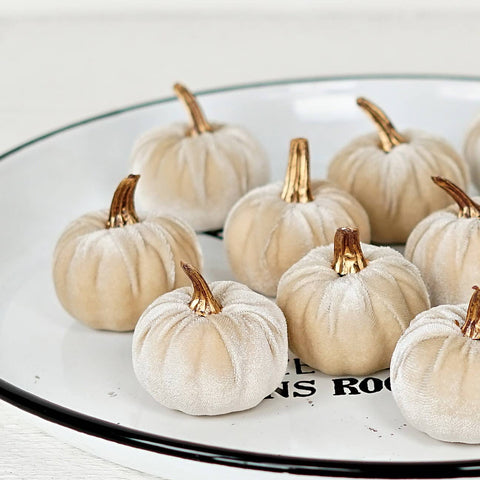 Set of 6 velvet Pumpkins w/ Gold Stem