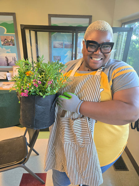 Butterfly Habitat W/Terrarium + Caterpillars Workshop