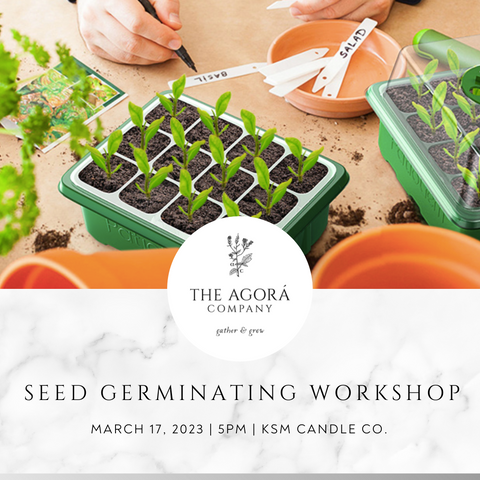 Seed Germinating Workshop