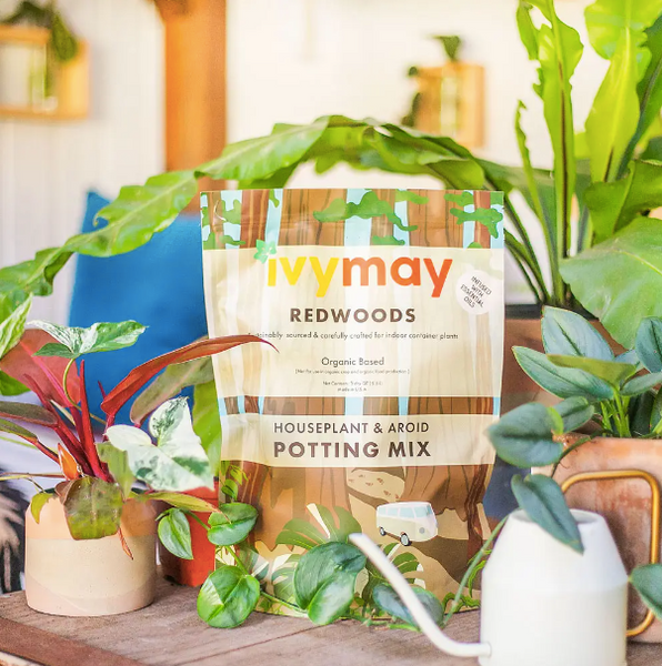 Plant Health | Redwoods Houseplant & Aroid Potting Mix - Peat Free 5qt